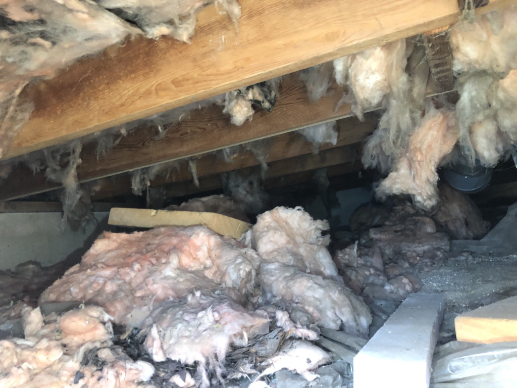 absecon crawl space in need of repair