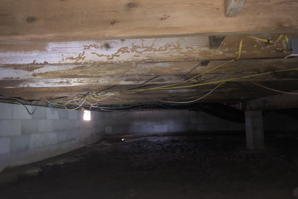 Crawl Space Renovation - Beach Haven, NJ- Jersey Shore Crawlspace